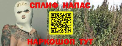 соль ск Бийск