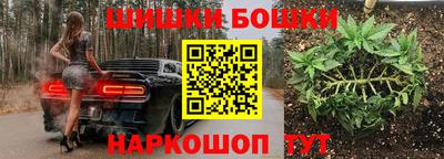 соль ск Бийск