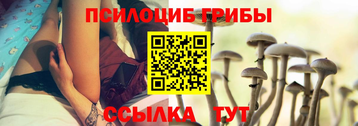 магазин    Псилоцибиновые грибы мухоморы  Вход с VPN  Галлюциногенные грибы MAGIC MUSHROOMS  Избербаш 